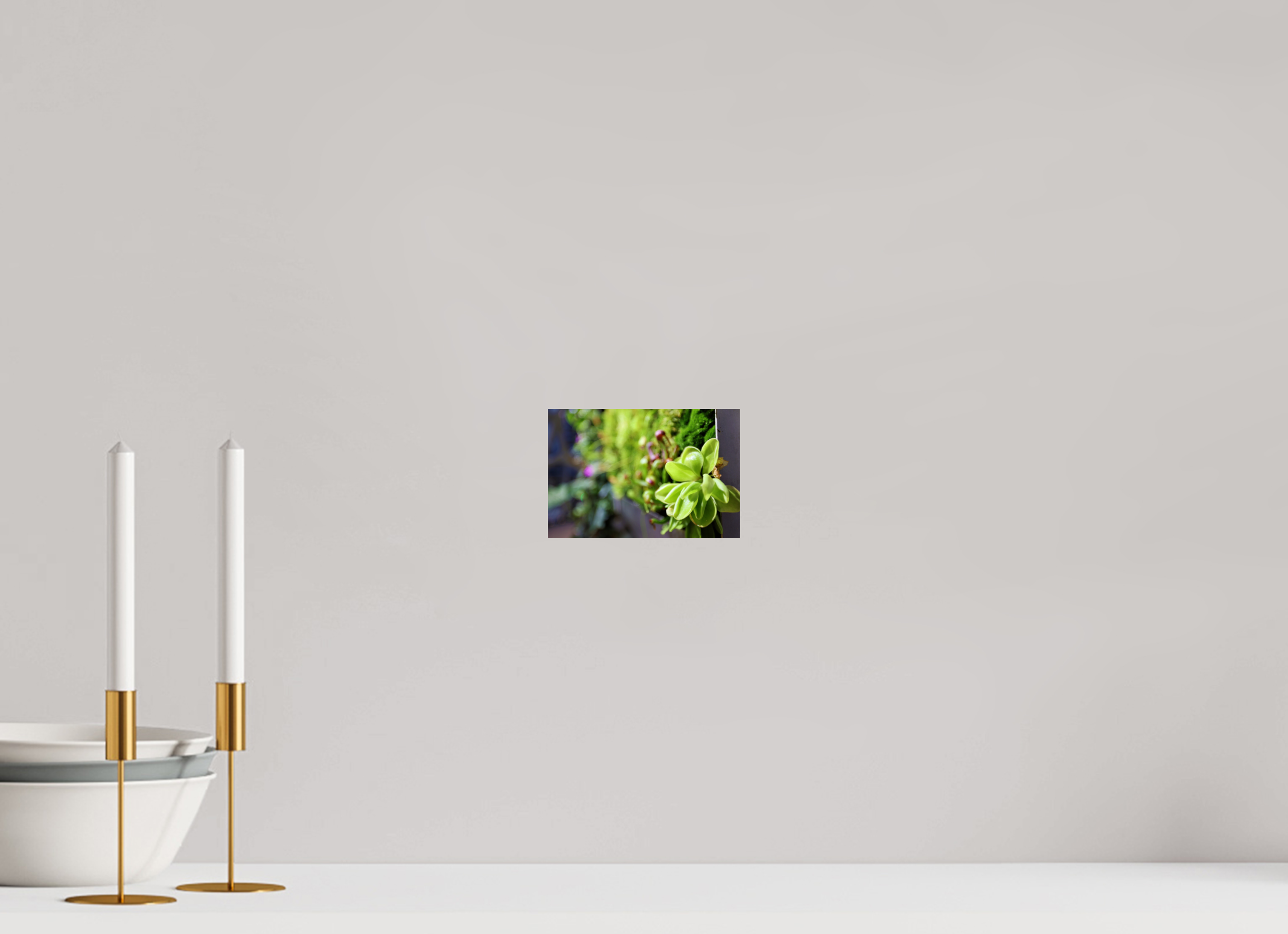6 x 4″, Photo Print On Fuji Crystal DP II Green Wall