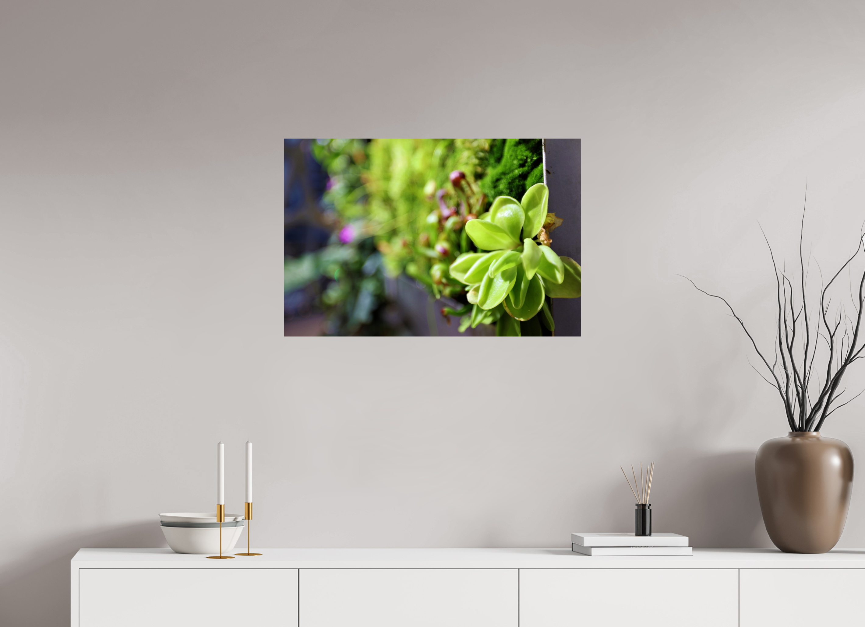 30 x 20″, Photo Print On Fuji Crystal DP II Green Wall