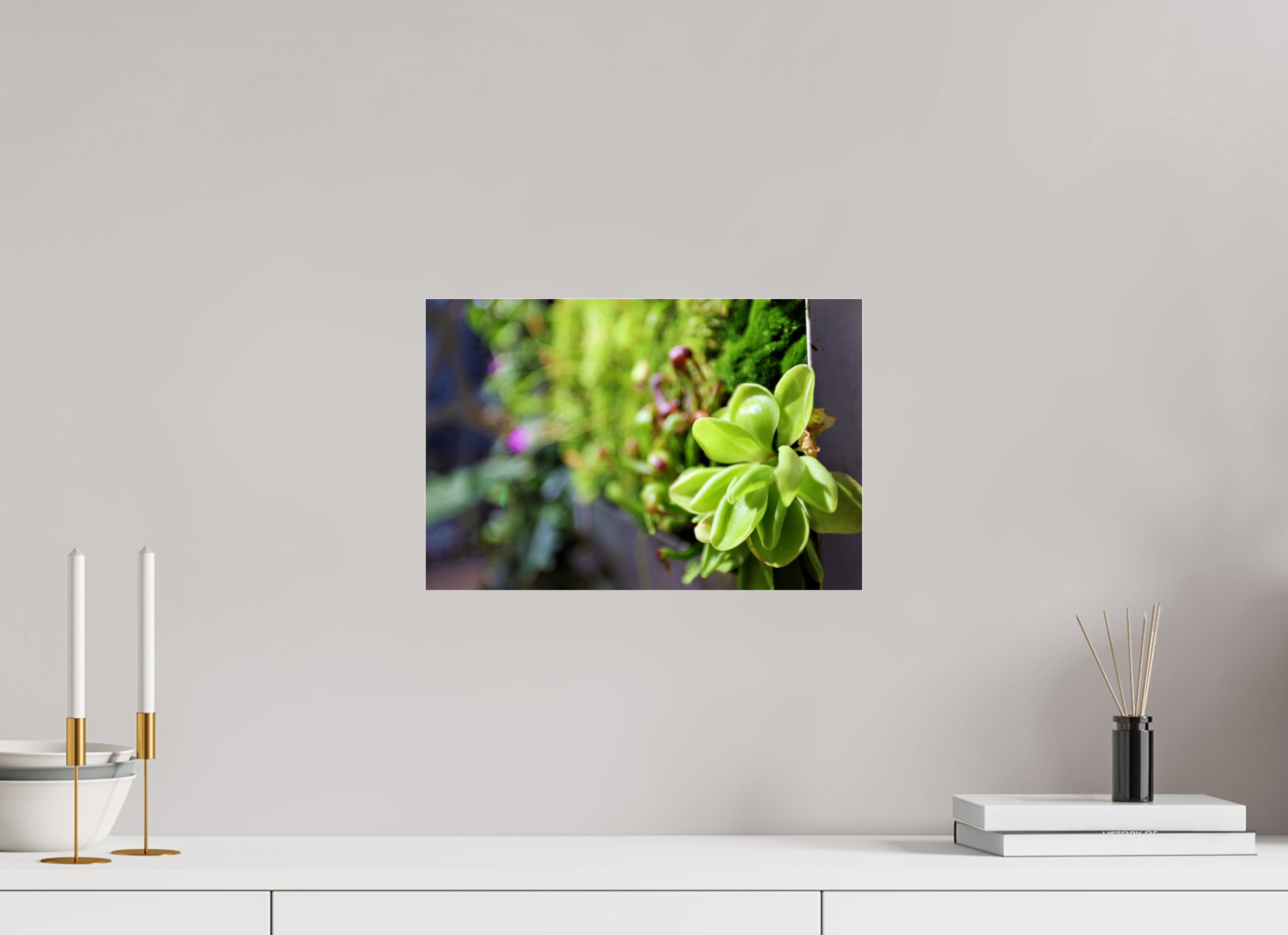 15 x 10″, Photo Print Under Acrylic Glass Green Wall