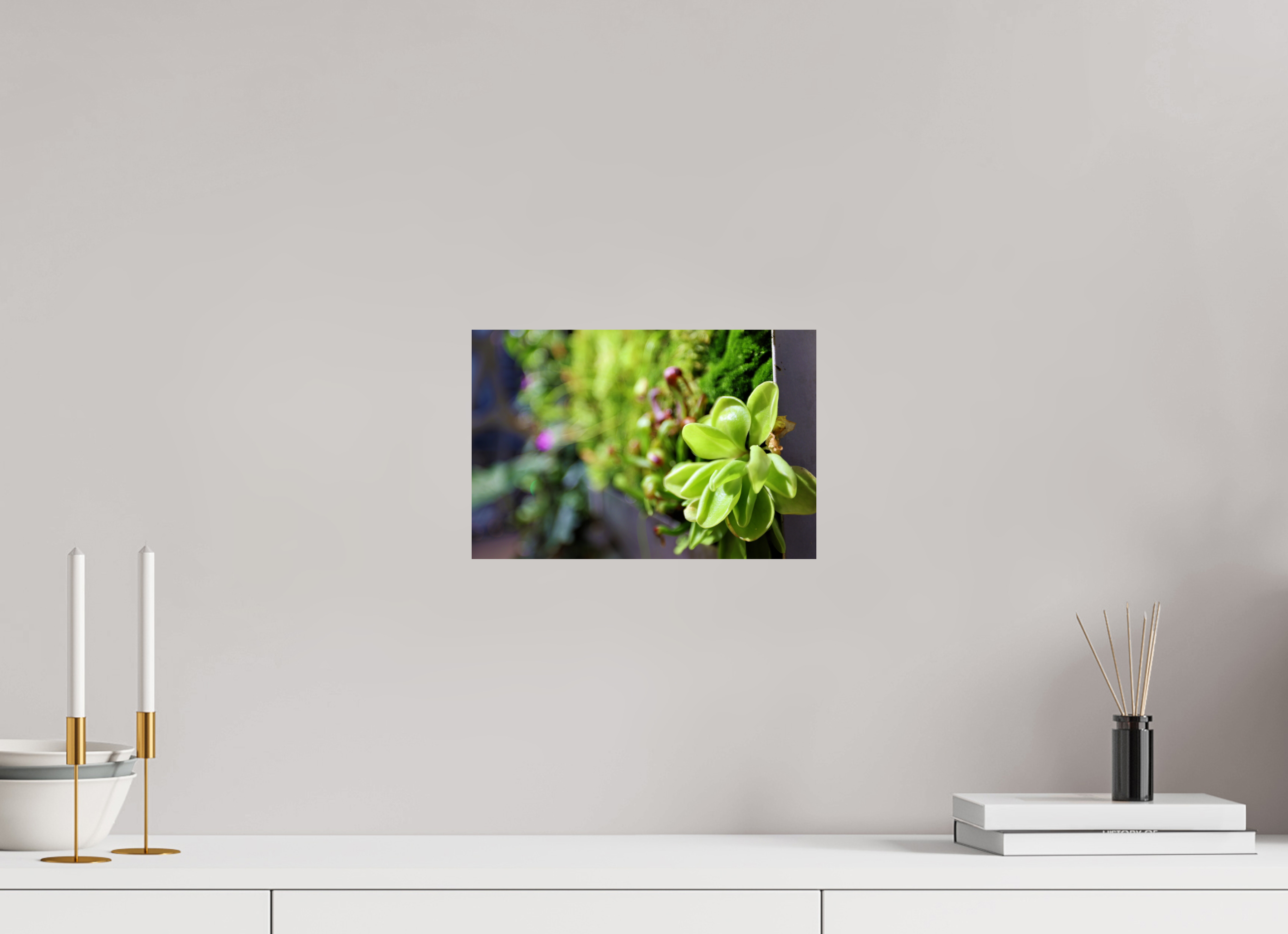 12 x 8″, Photo Print On Fuji Crystal DP II Green Wall