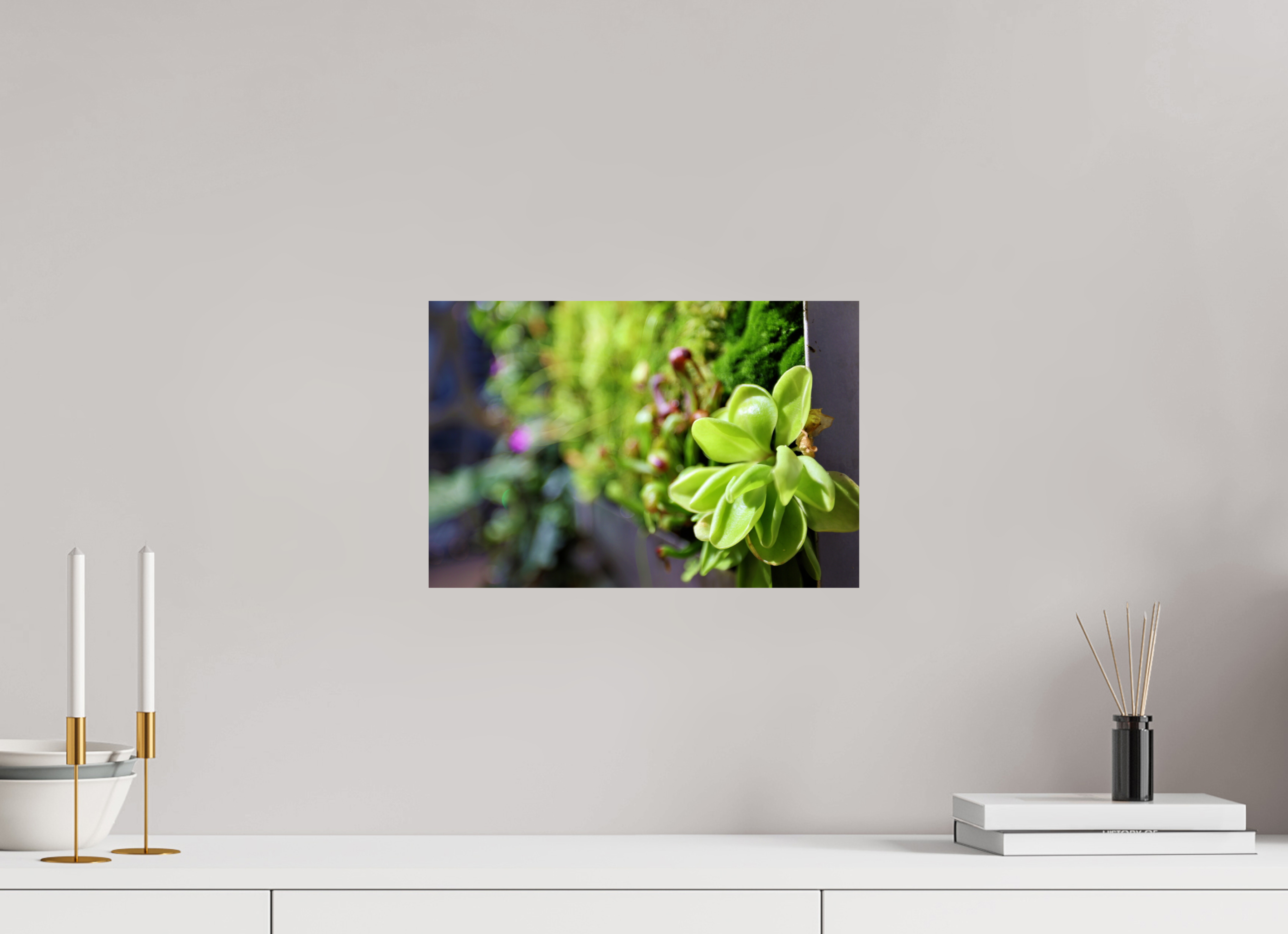 15 x 10″, Photo Print On Fuji Crystal DP II Green Wall