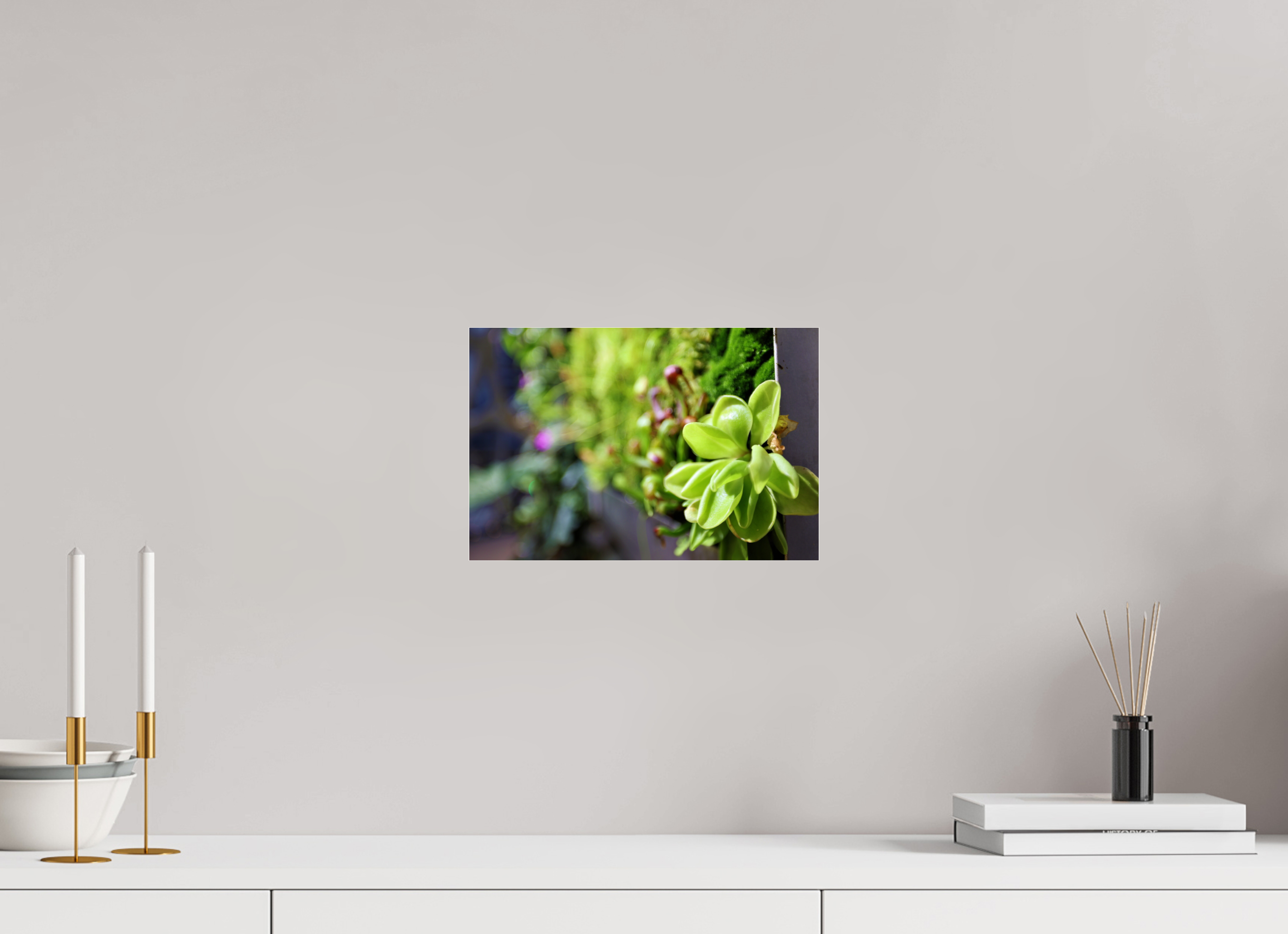 12 x 8″, Photo Print Under Acrylic Glass Green Wall