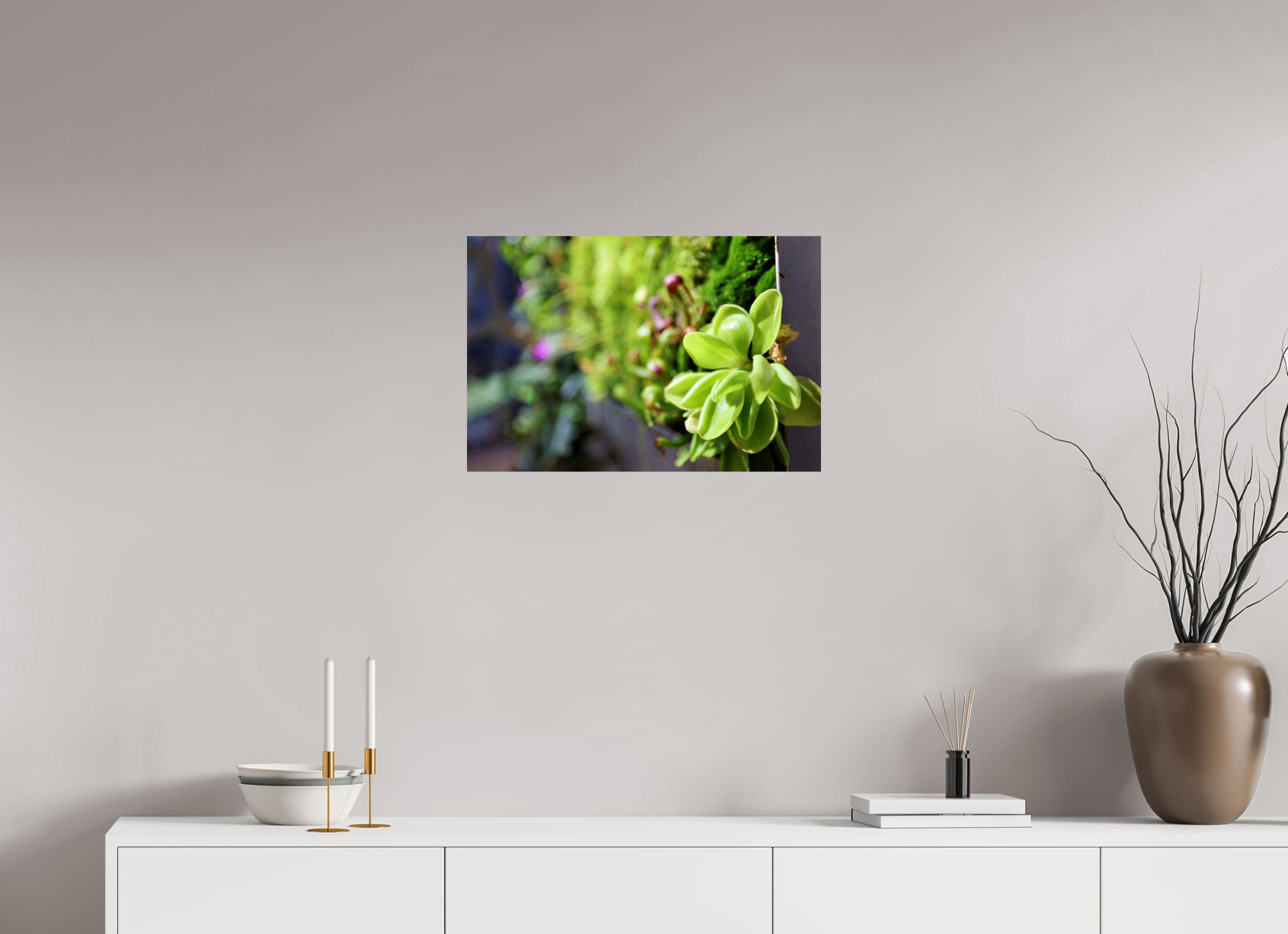 24 x 16″, Photo Print On Fuji Crystal DP II Green Wall